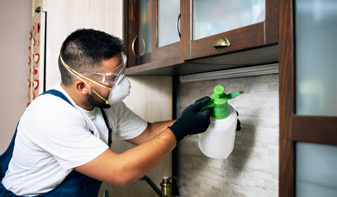 Pest Control service